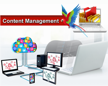 Content Management